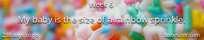 Babysizer Pregnancy Ticker
