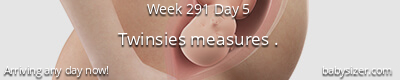 Babysizer Facts Pregnancy & Baby Tracker