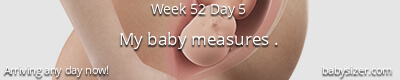 Babysizer Facts Pregnancy & Baby Tracker